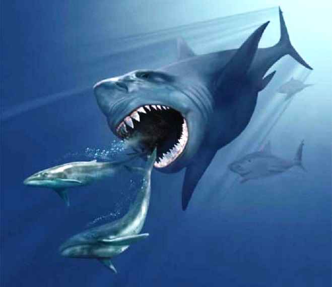 Dev Köpekbalığı Megalodon Gerçekte var mıydı?