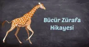 Bücür Zürafa