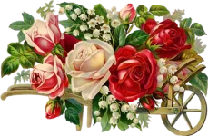 0_3ab2b_32737c00_L.webp 0_3ab2b_32737c00_L.webp