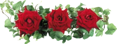 0_3aaa6_6e87105c_L.webp 0_3aaa6_6e87105c_L.webp
