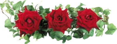 0_3aaa6_6e87105c_L.webp 0_3aaa6_6e87105c_L.webp