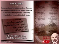 rp8w26wv.webp
