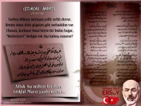 9y7nz52d.webp