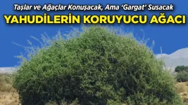 Peygamber Efendimizin "Yahudileri öldürünüz" şeklinde bir hadisi var mıdır?