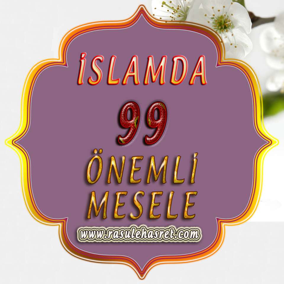 İslam'da bilinmesi  gereken 99 Önemli  Mesele
