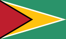 134px-Flag_of_Guyana.svg.png
